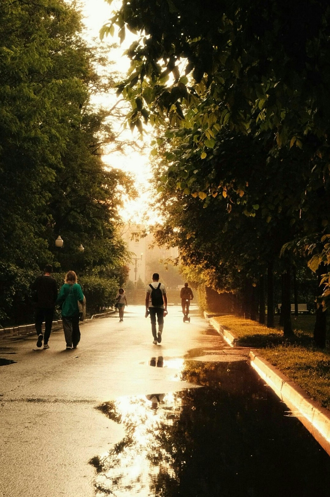 person walking in park